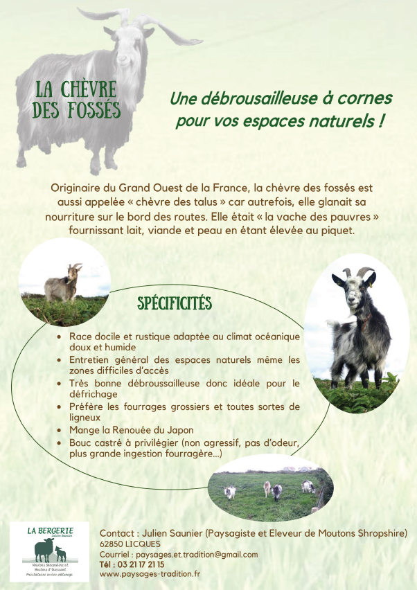 Chèvre des Fossés